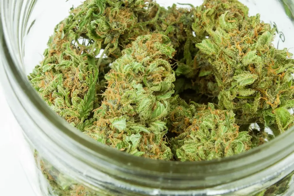 dry cannabis buds in a glass jar