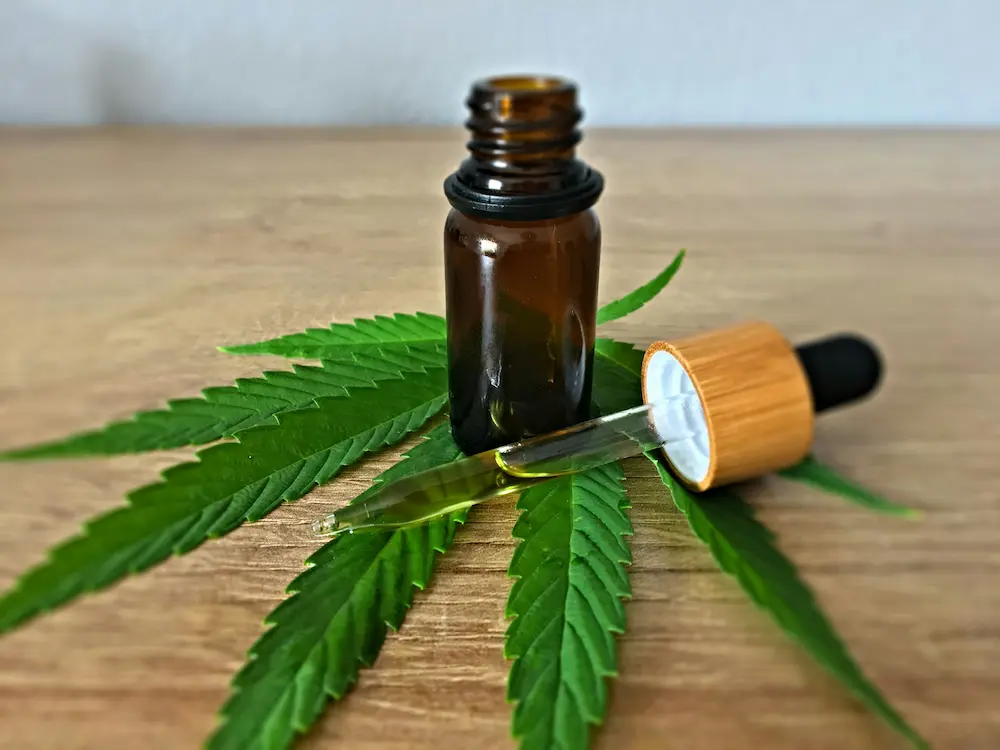 stealth grow hero image