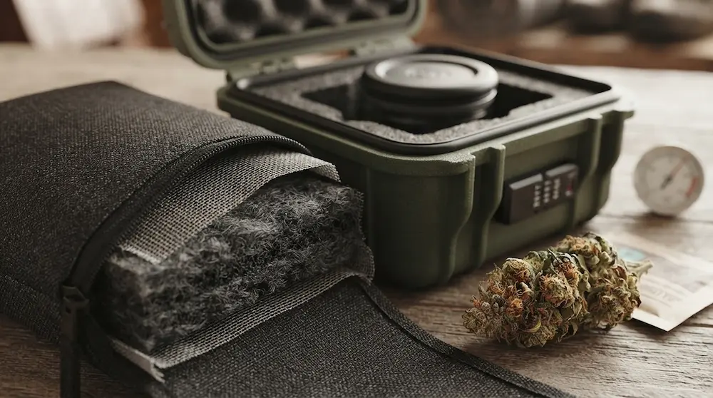inside of cannabis grow tent