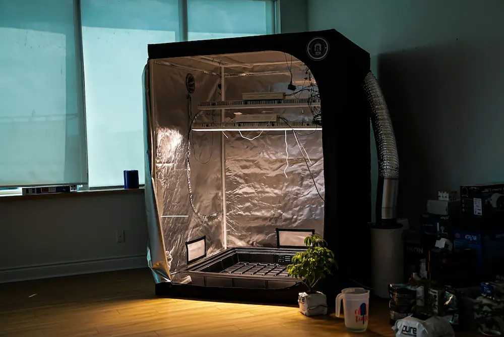 2x2 cannabis grow tent in the room