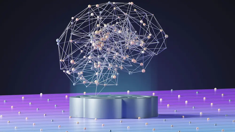 Image of the brain network