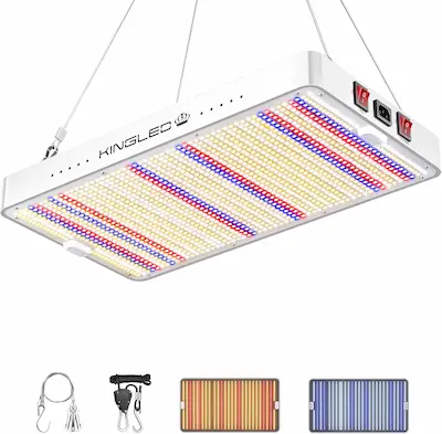 KingLED KP3000 LED Grow Light